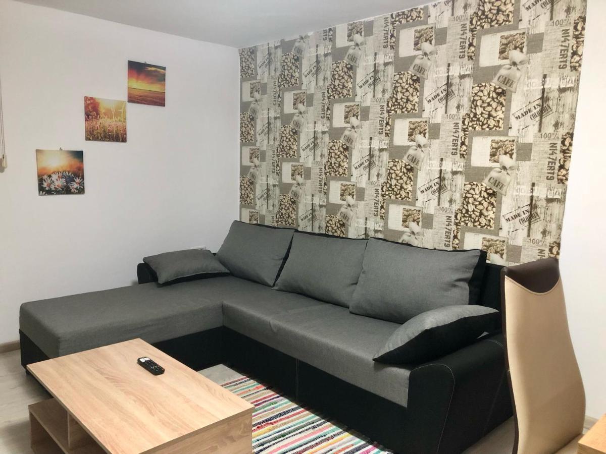 Central Park - Big Apartment - 3 Rooms - Free Parking T5 Timişoara Exterior foto