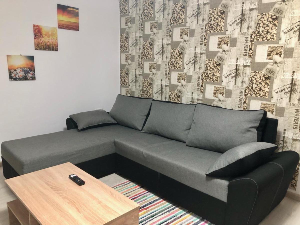 Central Park - Big Apartment - 3 Rooms - Free Parking T5 Timişoara Exterior foto