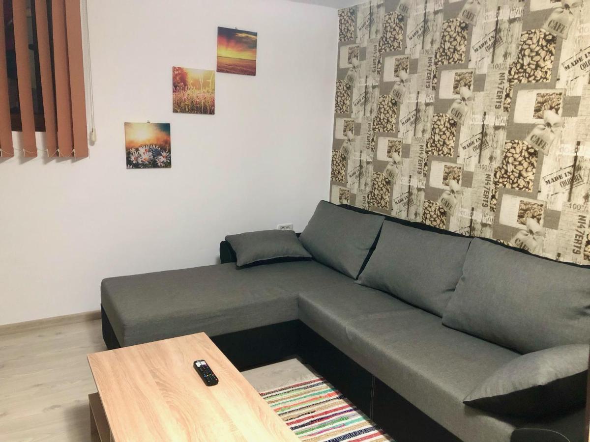 Central Park - Big Apartment - 3 Rooms - Free Parking T5 Timişoara Exterior foto